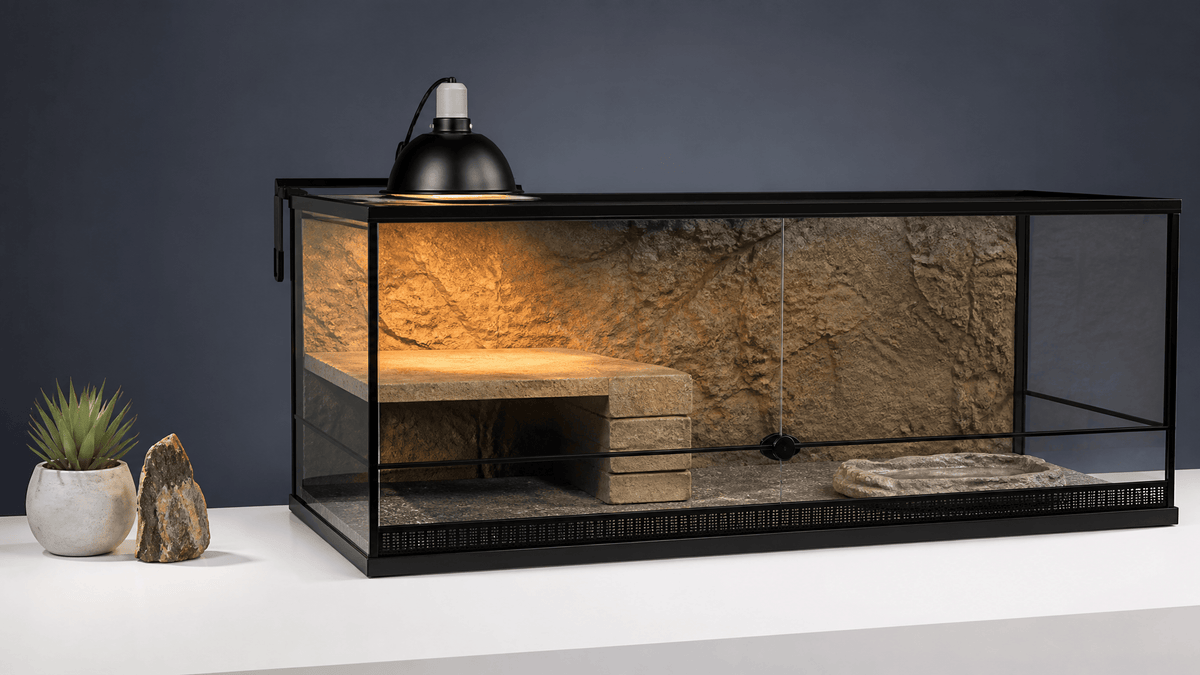 Best Bearded Dragon Enclosure Setups 2026: Reviews & Buying Guide