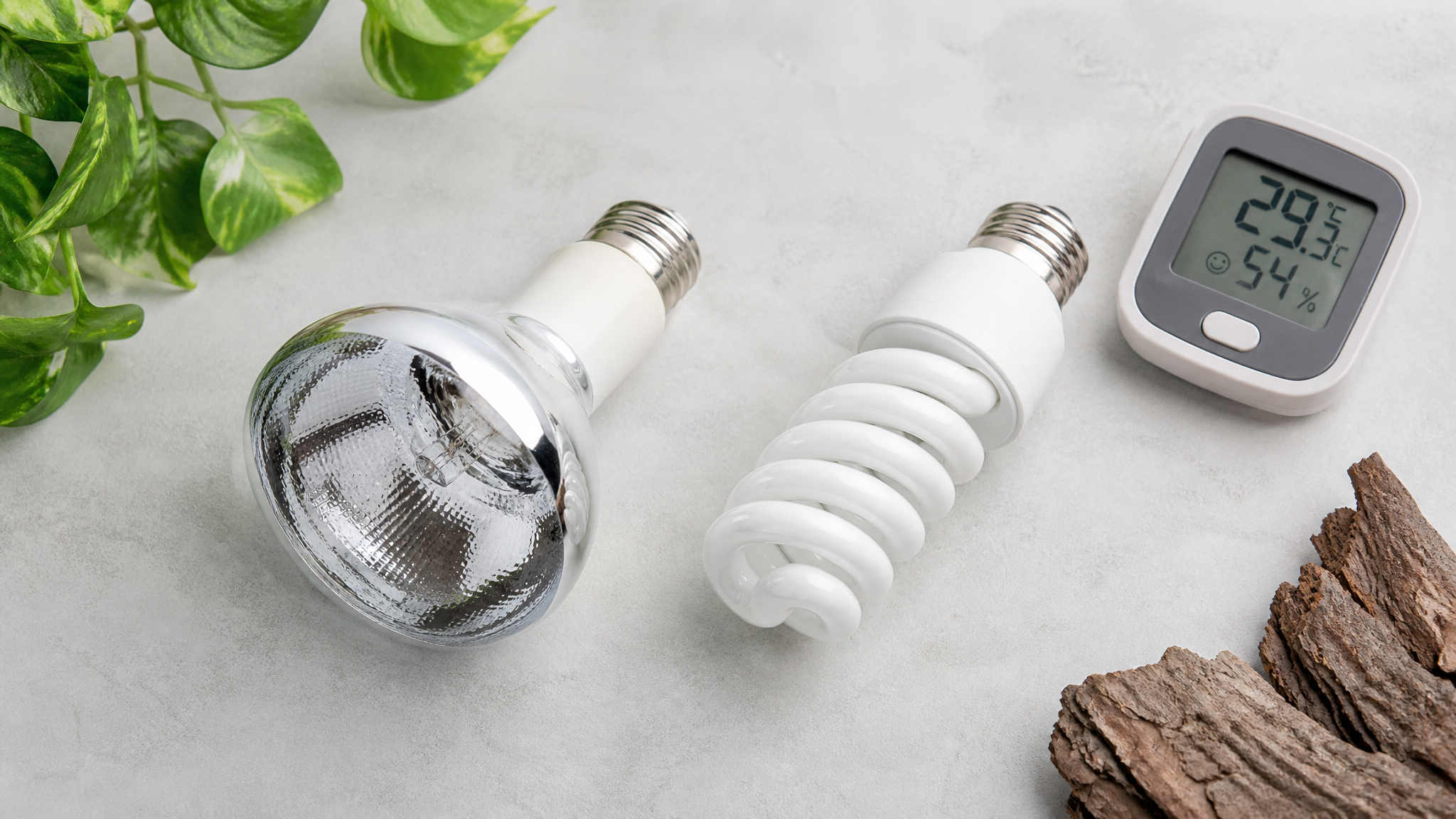 Reptile Lighting Basics: UVB, Heat, and Bulb Selection Explained