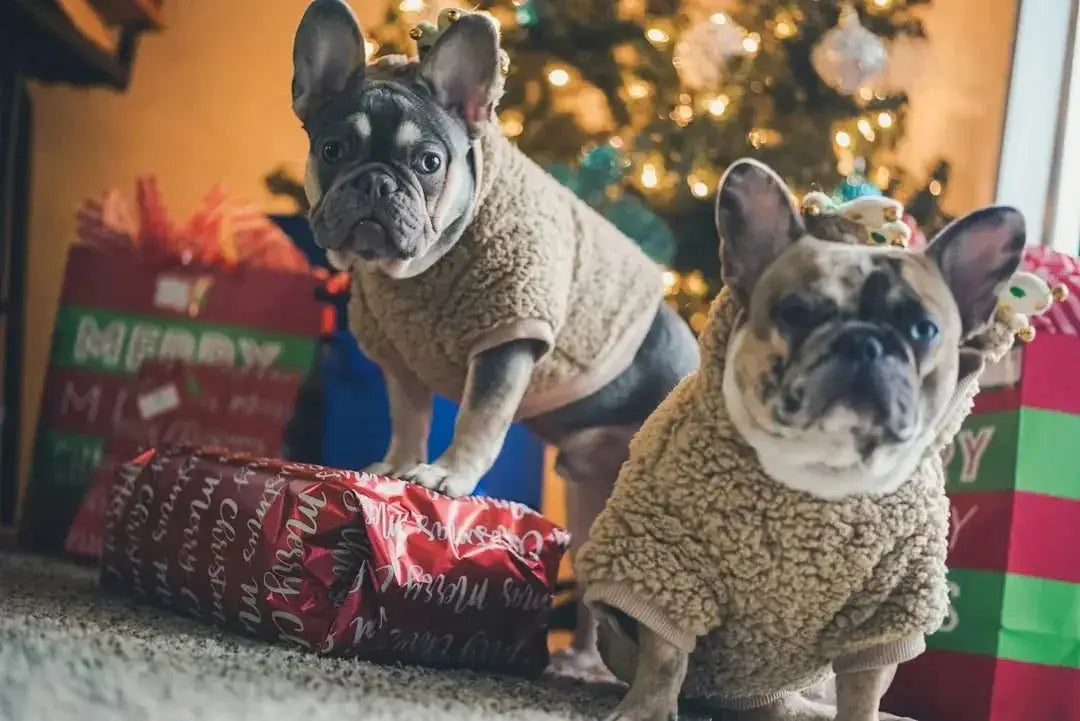 Festive Christmas Kerchiefs to Dress Up Dogs