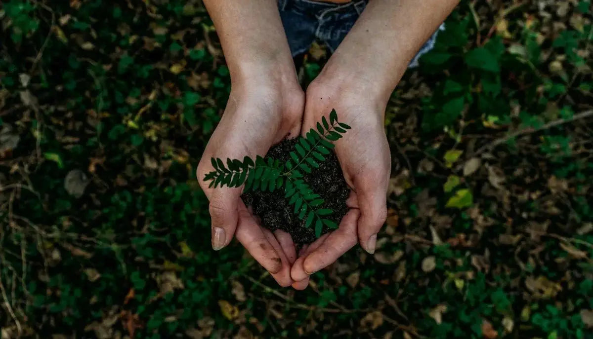 Five Innovative Solutions for Everyday Sustainable Living