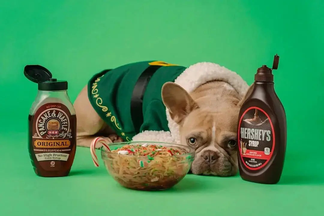Nourishing Your Pup: Homemade Raw Dog Recipes
