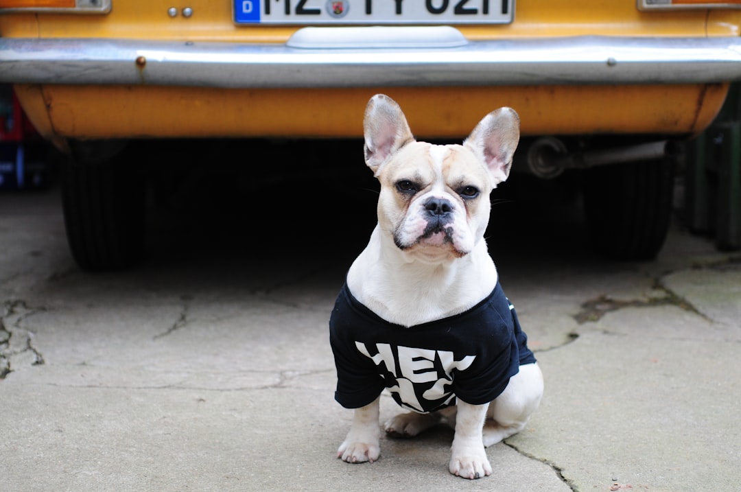 Dog Shirts & Tank Tops - Stylish and Comfortable by Talis-us