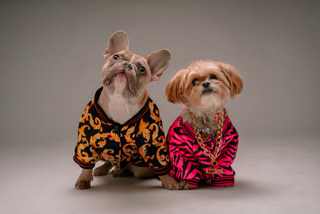 Dog Clothes Collection by Talis-us for Stylish Pets