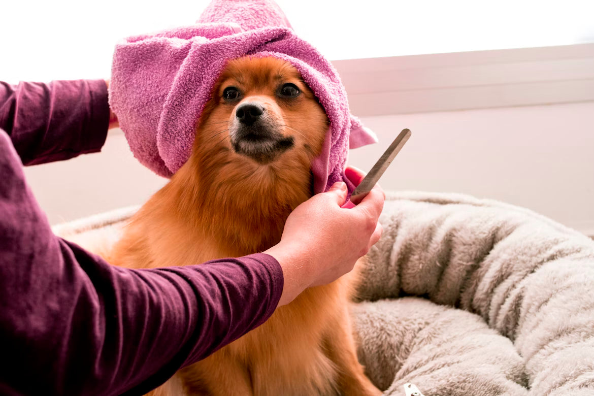 How Often to Groom Your Pet Calculator