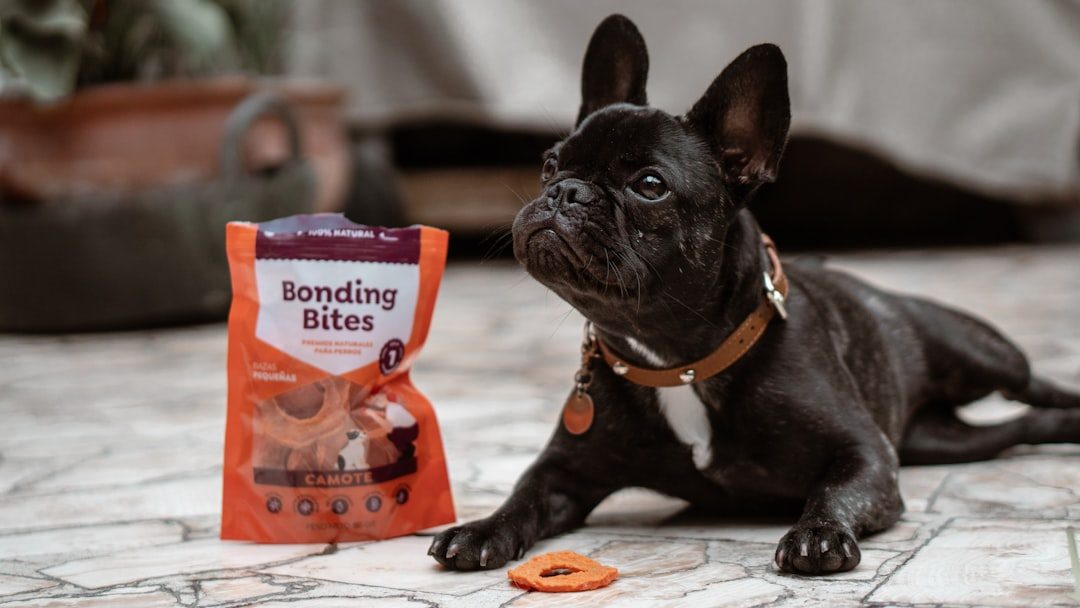 Healthy Vegan Dog Treats for Picky Eaters