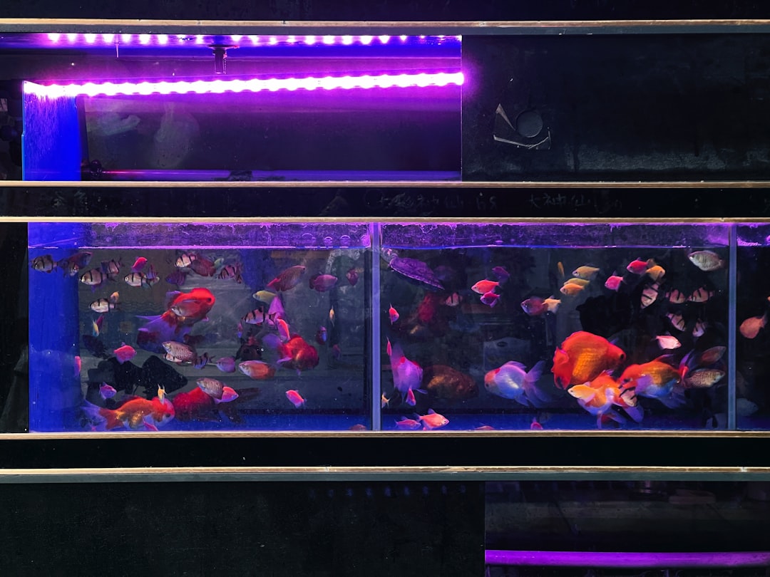 Optimal 120 Gallon Tank with Stand: Selection Guide