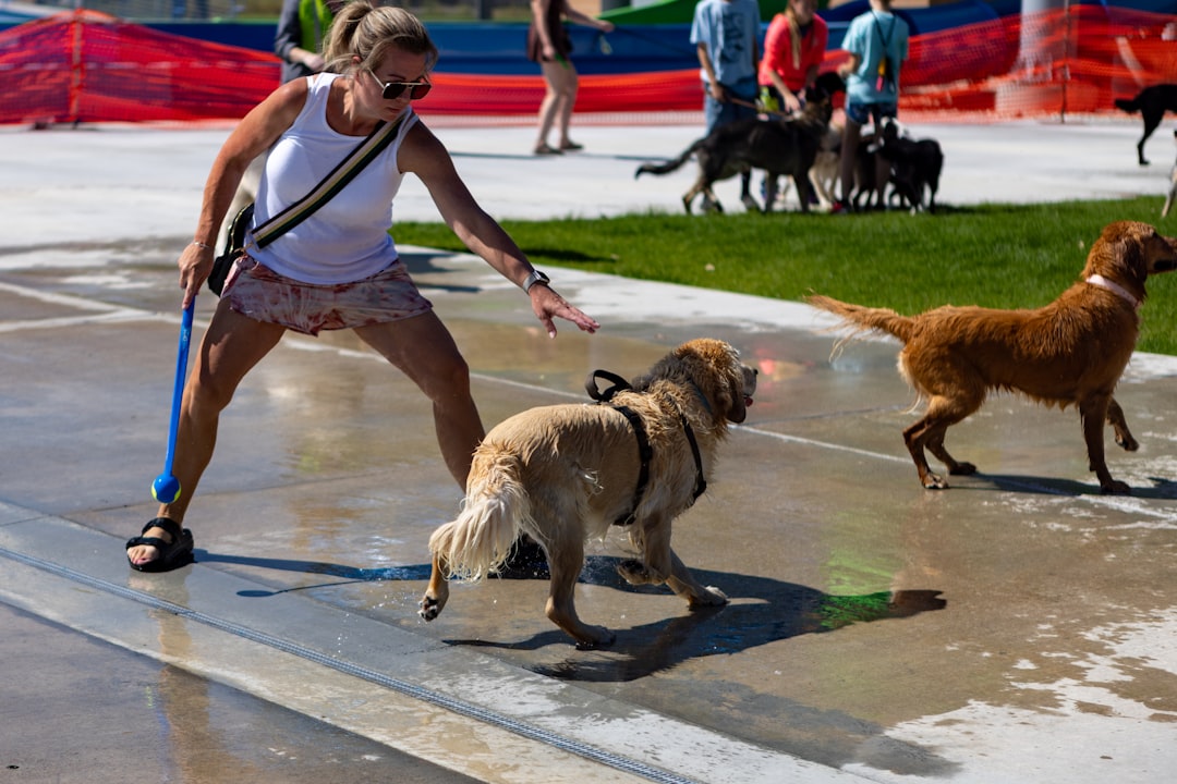 USA Made Dog Fetch Toys: Loop & Launch Quality