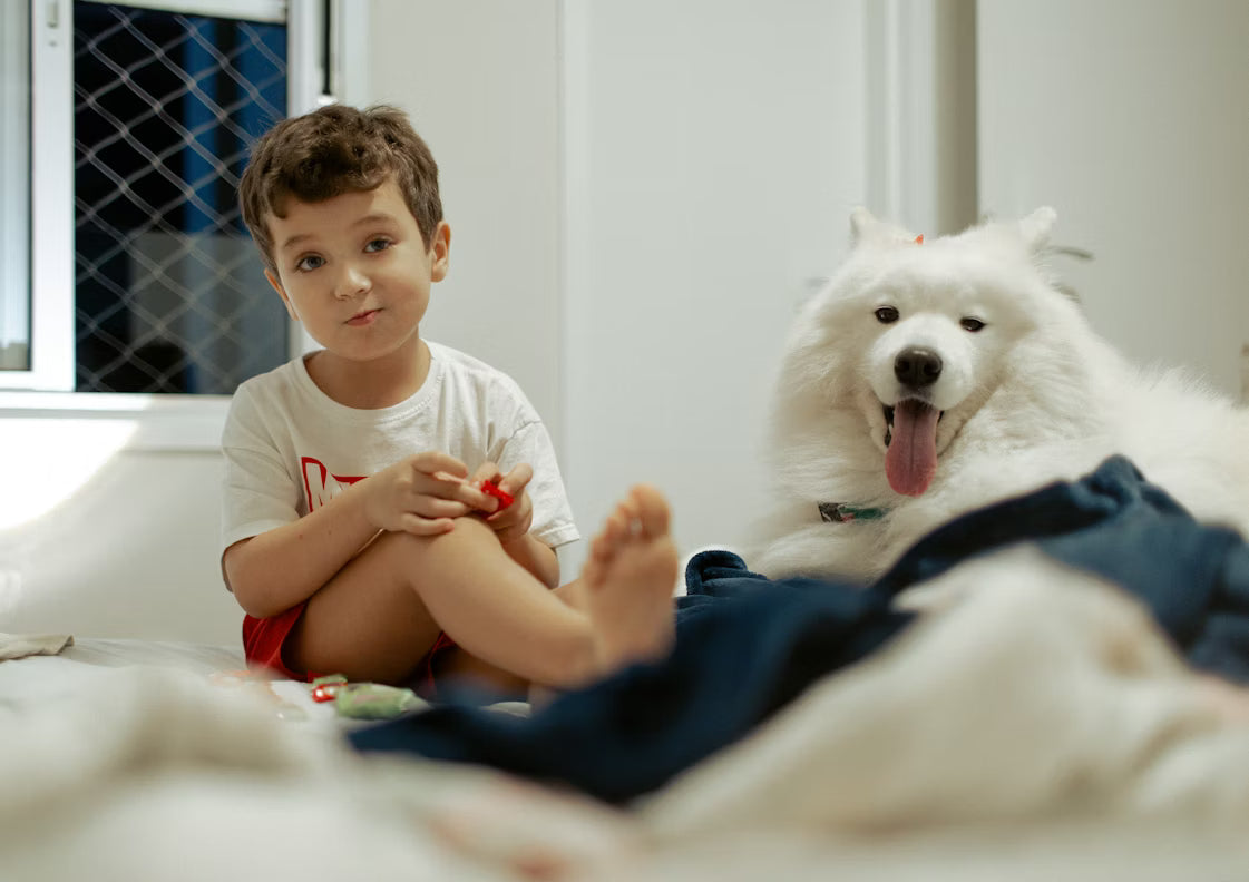 Introducing Pets to Children Safely