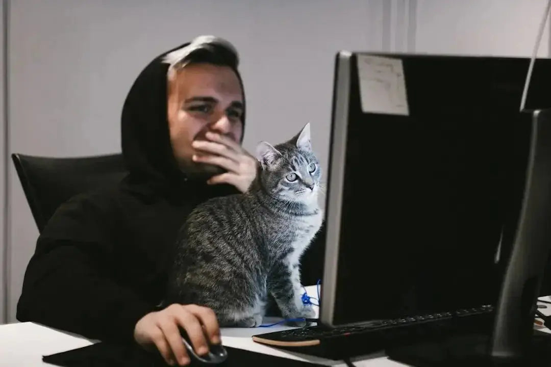 Is shopping on Talis Us more affordable than Petflow