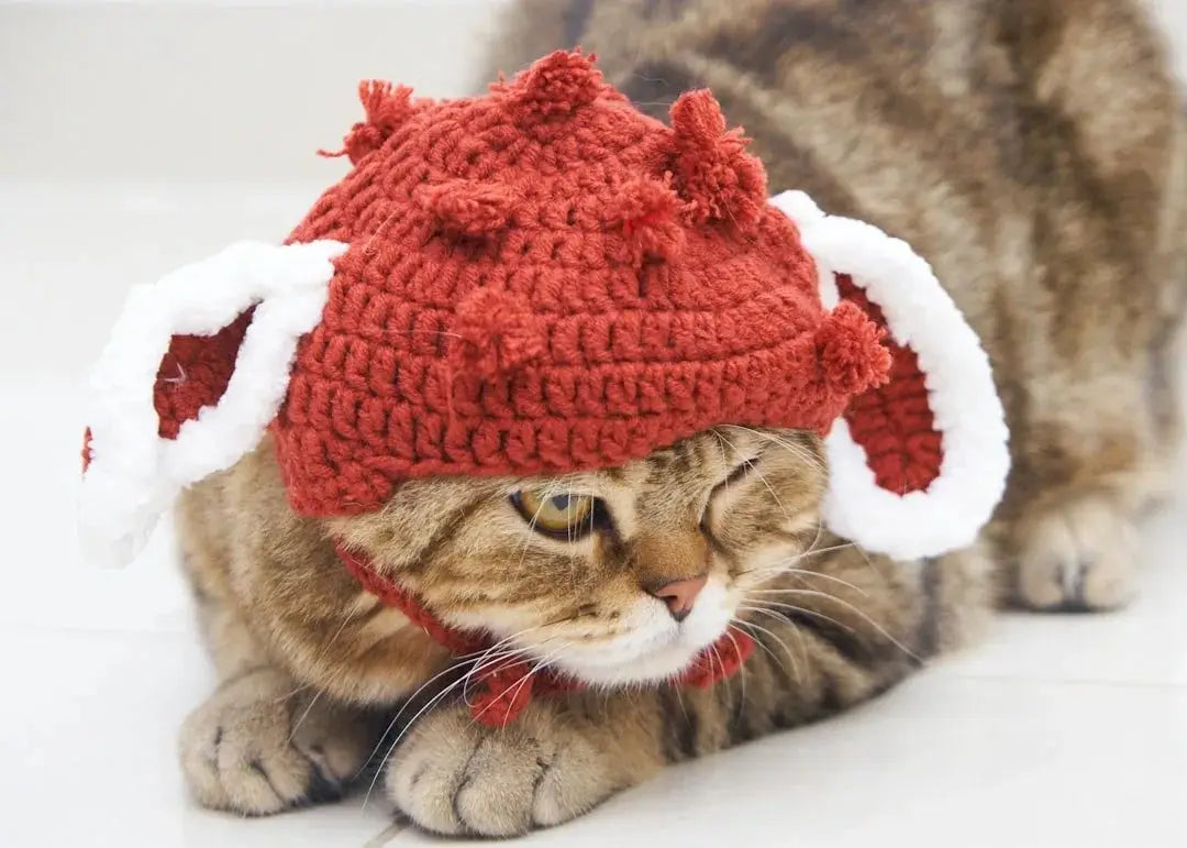 Simplify Your Life: How a One-Stop Pet Shop Transforms Your Pet Supplies Routine