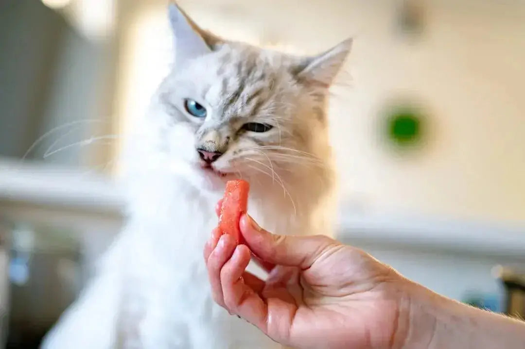 Understanding the Risks of Cats Eating Almonds