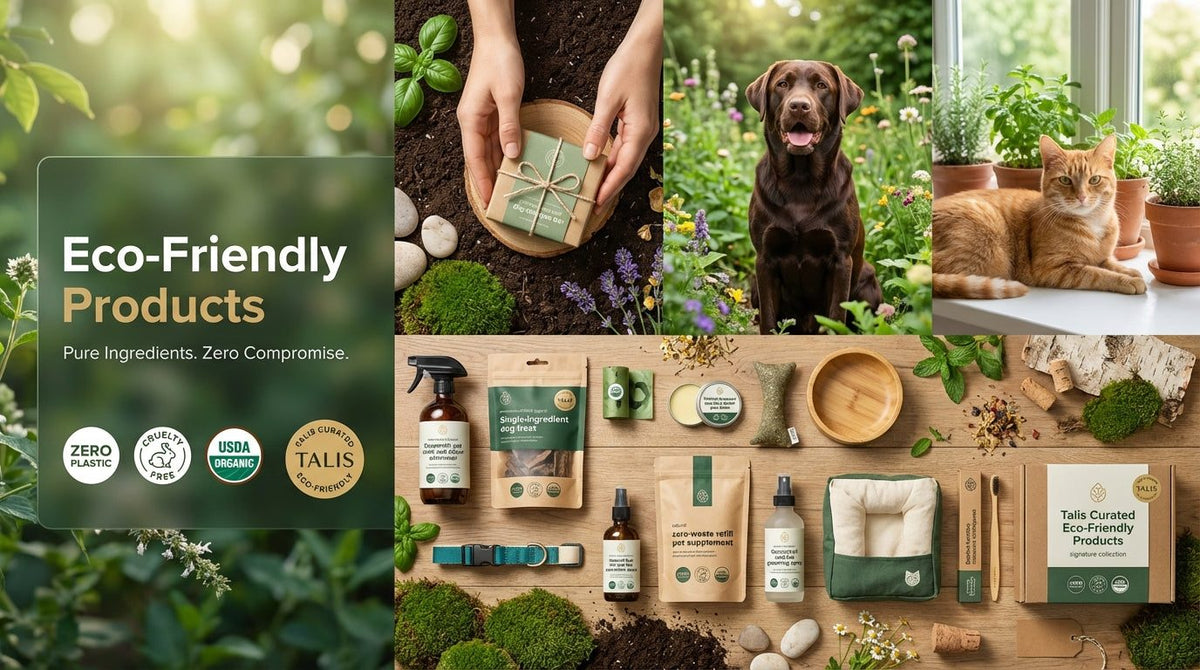 Eco-Friendly Products