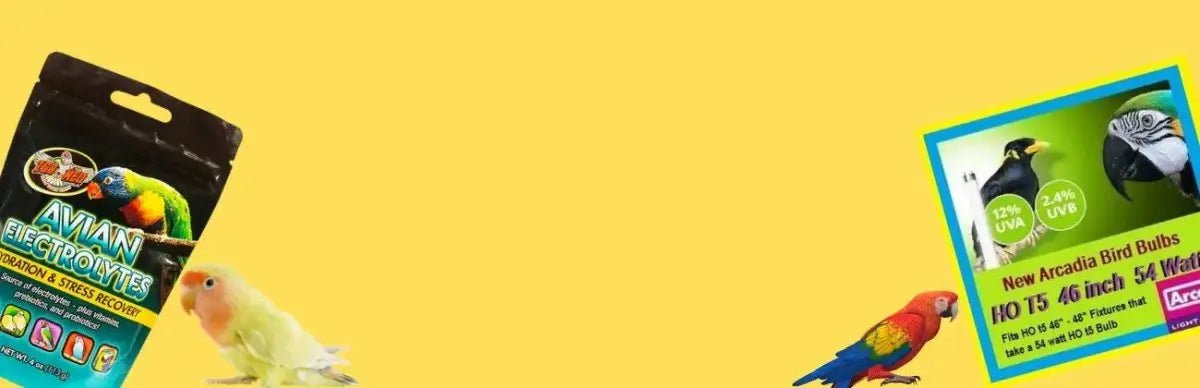 Bird Grooming & Health - Talis Us