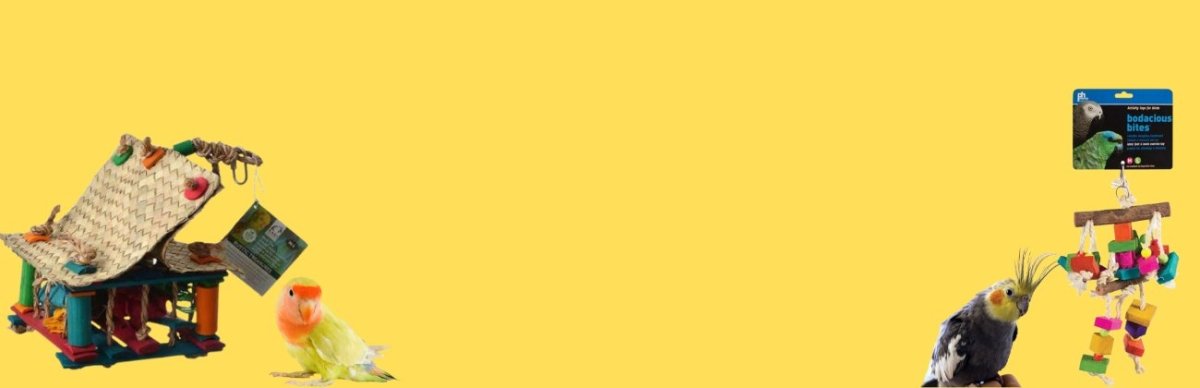 Bird Perches & Toys - Talis Us