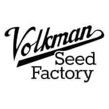 Volkman Seed - Talis Us