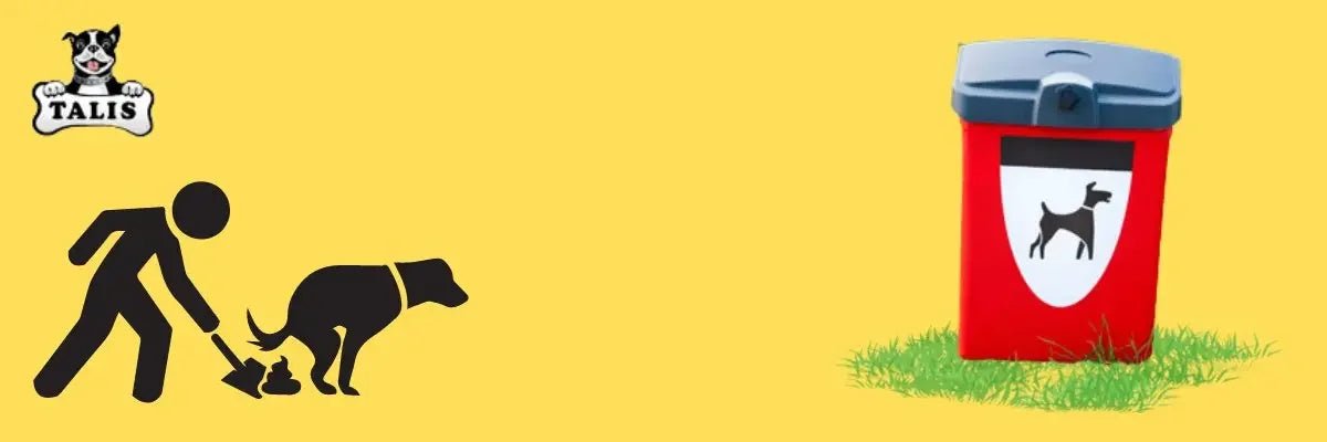 Waste Pickup & Disposal - Talis Us