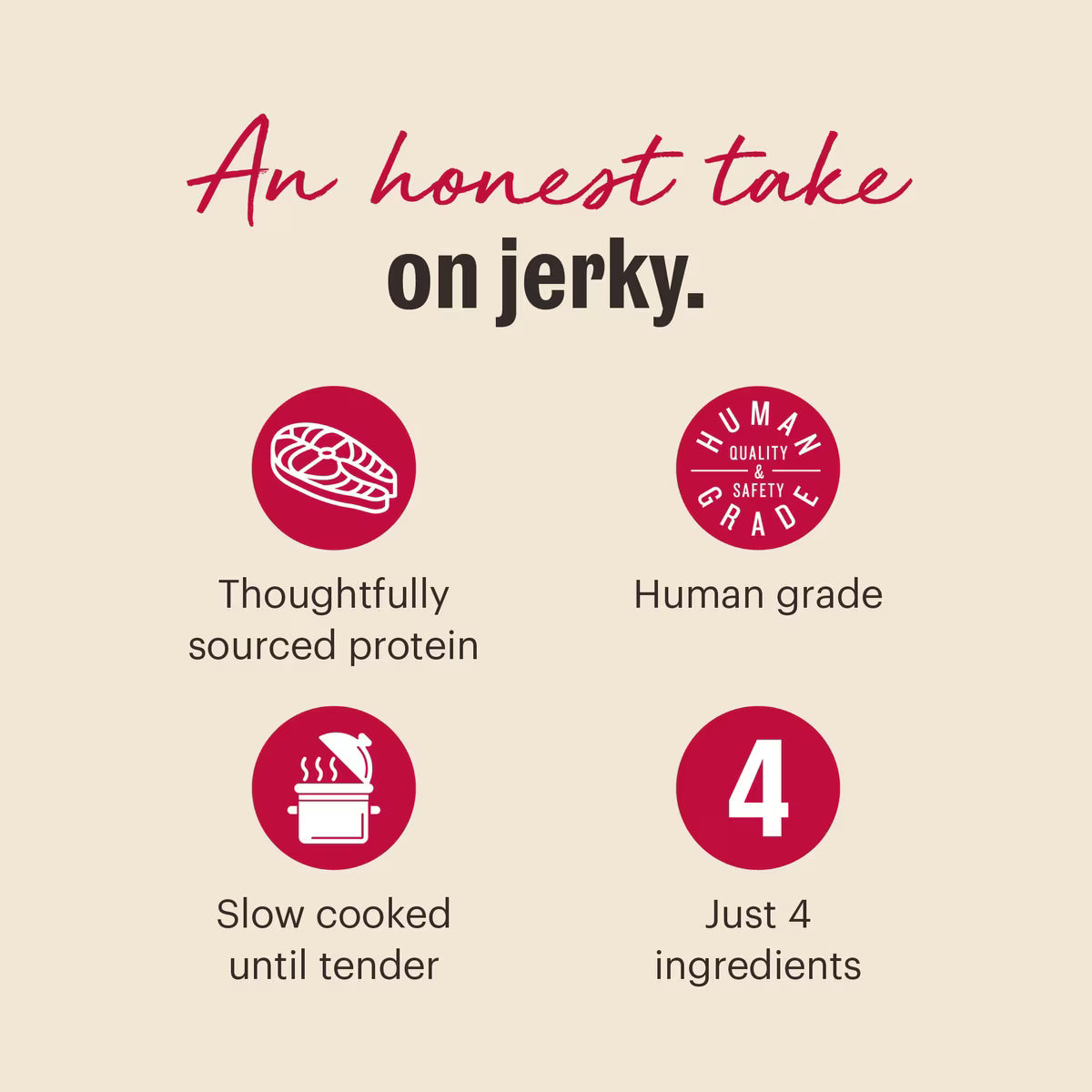 The Honest Kitchen Human Grade Slow Cooked Jerky Salmon Recipe Dog Treats 5.4oz
