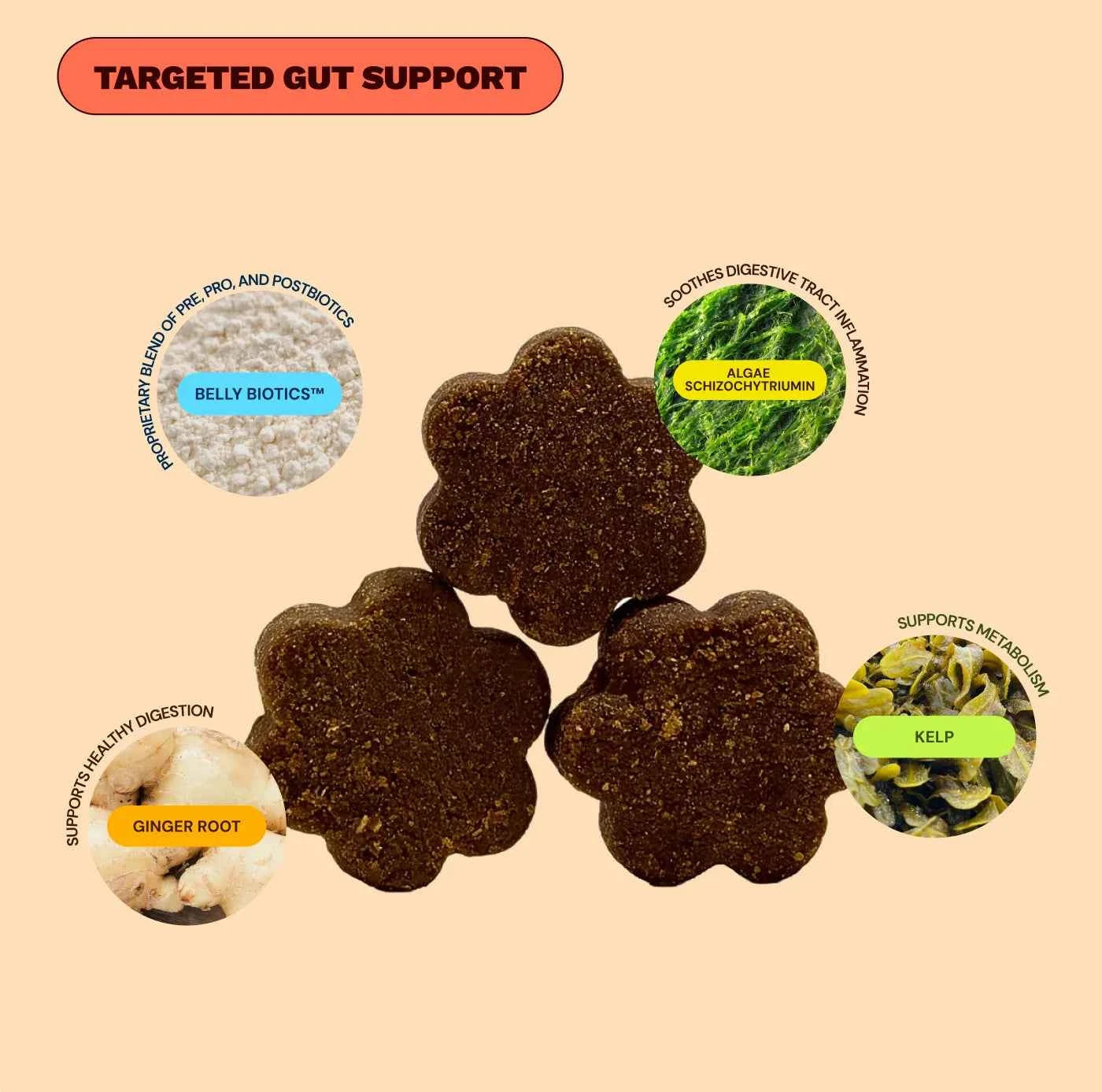 Get Joy Gut Support Bundle