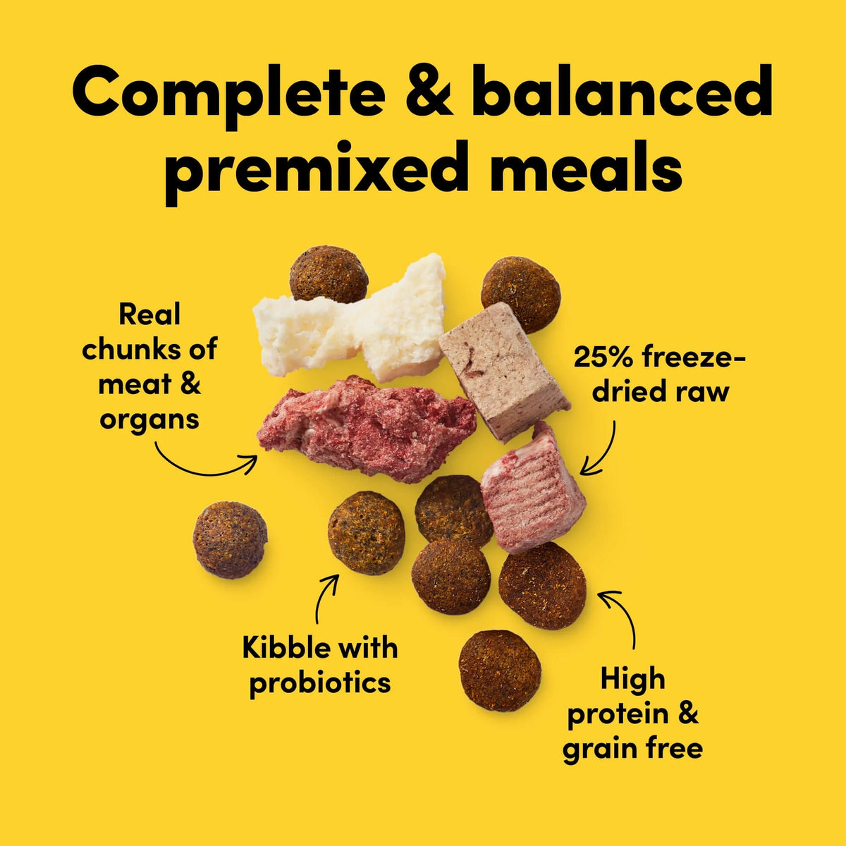 Assortment of dog food pieces showing freeze-dried raw chunks, kibble with probiotics, and high-protein grain-free formula