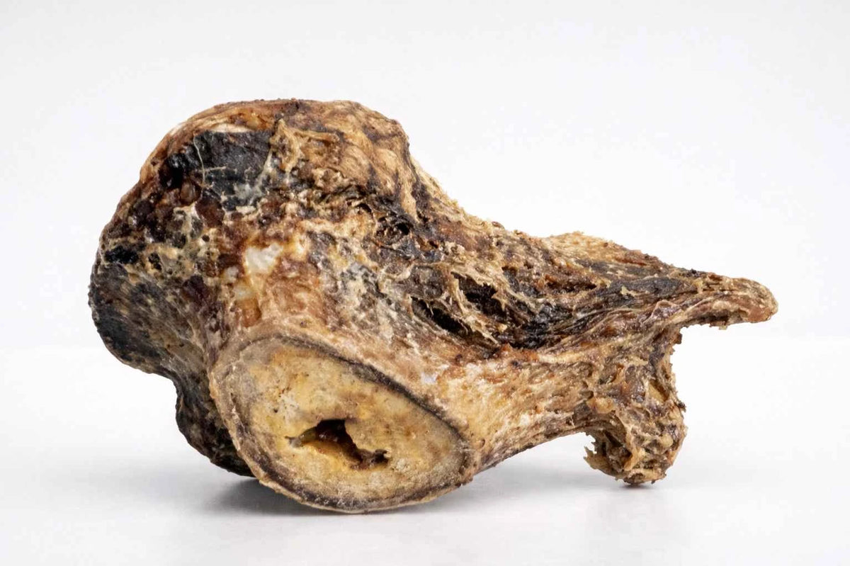 Ostrich Knuckle Bone Natural Long-Lasting Dog Chew
