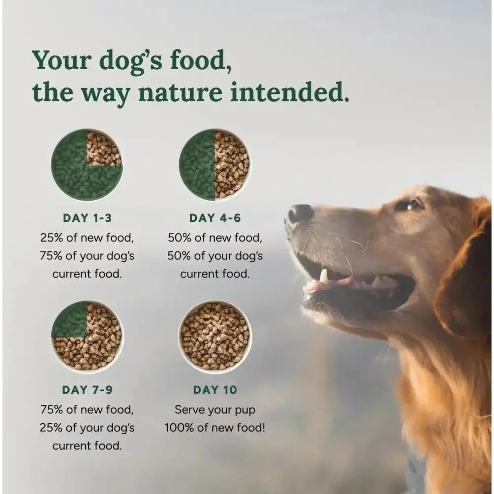 360 Pet Nutrition Raw Chicken Formula Grain - Free Freeze - Dried Dog Food - Talis Us