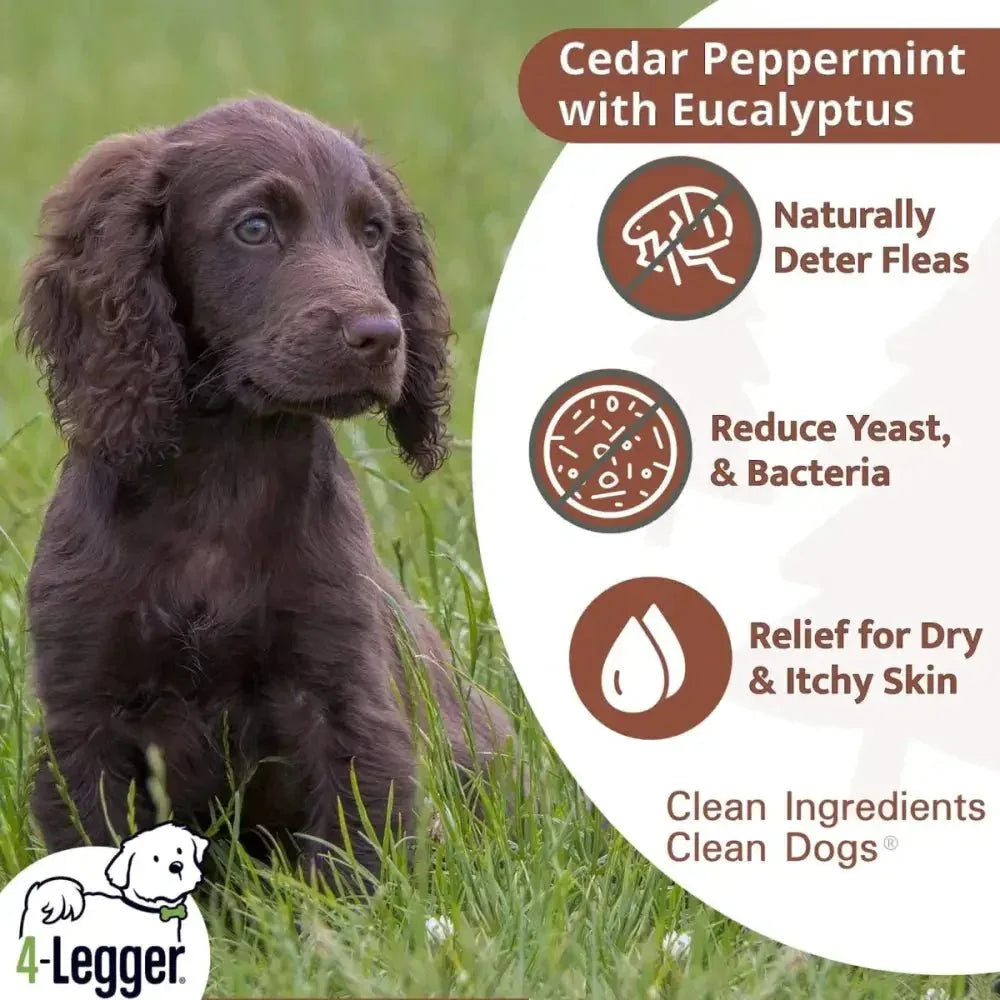 4 - Legger Natural Cedar Dog Shampoo and Conditioner with Peppermint & Eucalyptus 16 oz - Talis Us