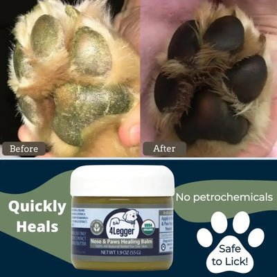4 - Legger Usda Certified Organic Healing Balm For Dog Nose and Paw Pads 5 oz - Talis Us