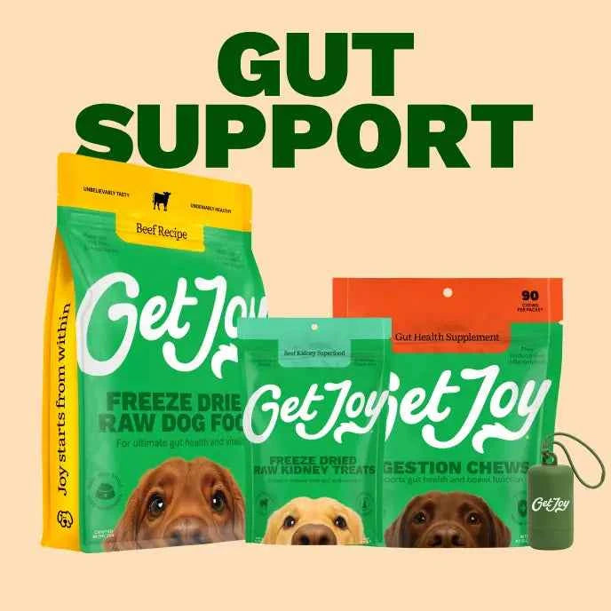 Get Joy Gut Support Bundle
