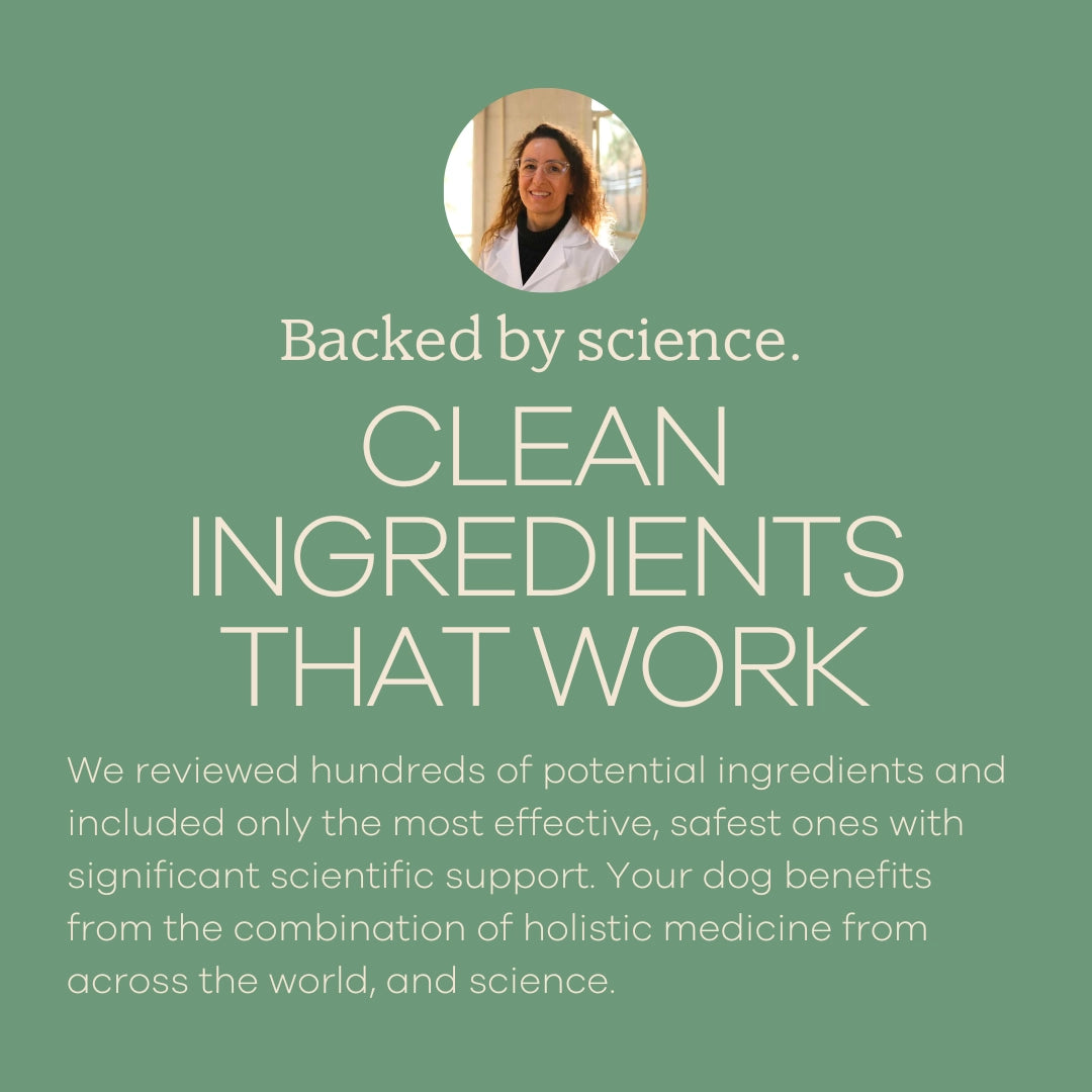 Yumwoof Perfect Digestion topper graphic promotes clean ingredients and science-backed digestive care for dogs.