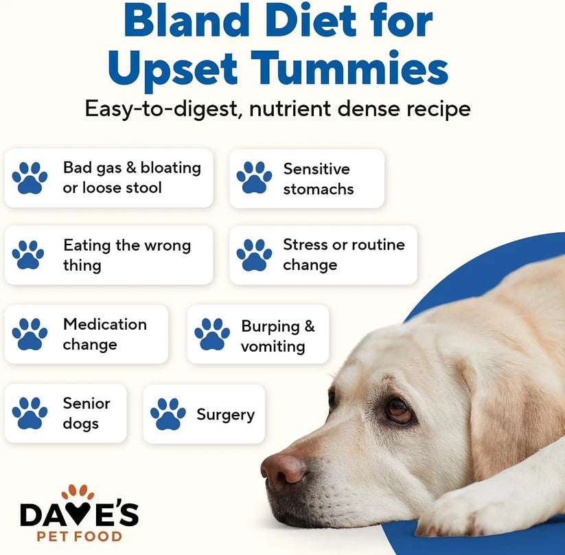 Dave's Bland Diet Duck & Pumpkin Gently Cooked Dog Food 10 Pack - 9 oz Pouches