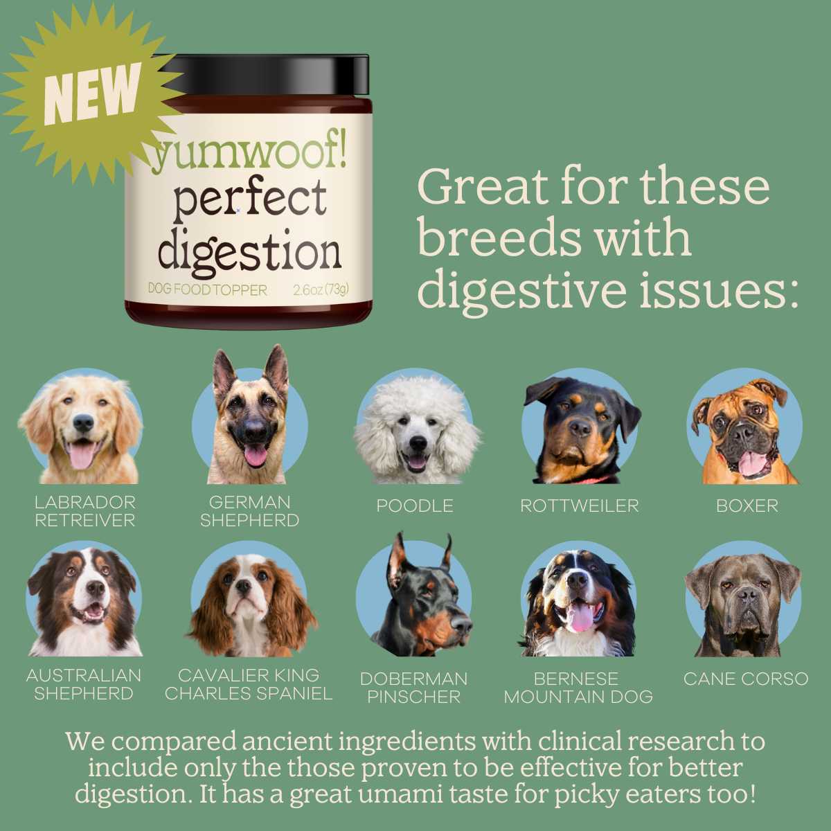 Yumwoof Perfect Digestion non-GMO dog food topper jar beside a breed chart highlighting dogs prone to digestive issues.