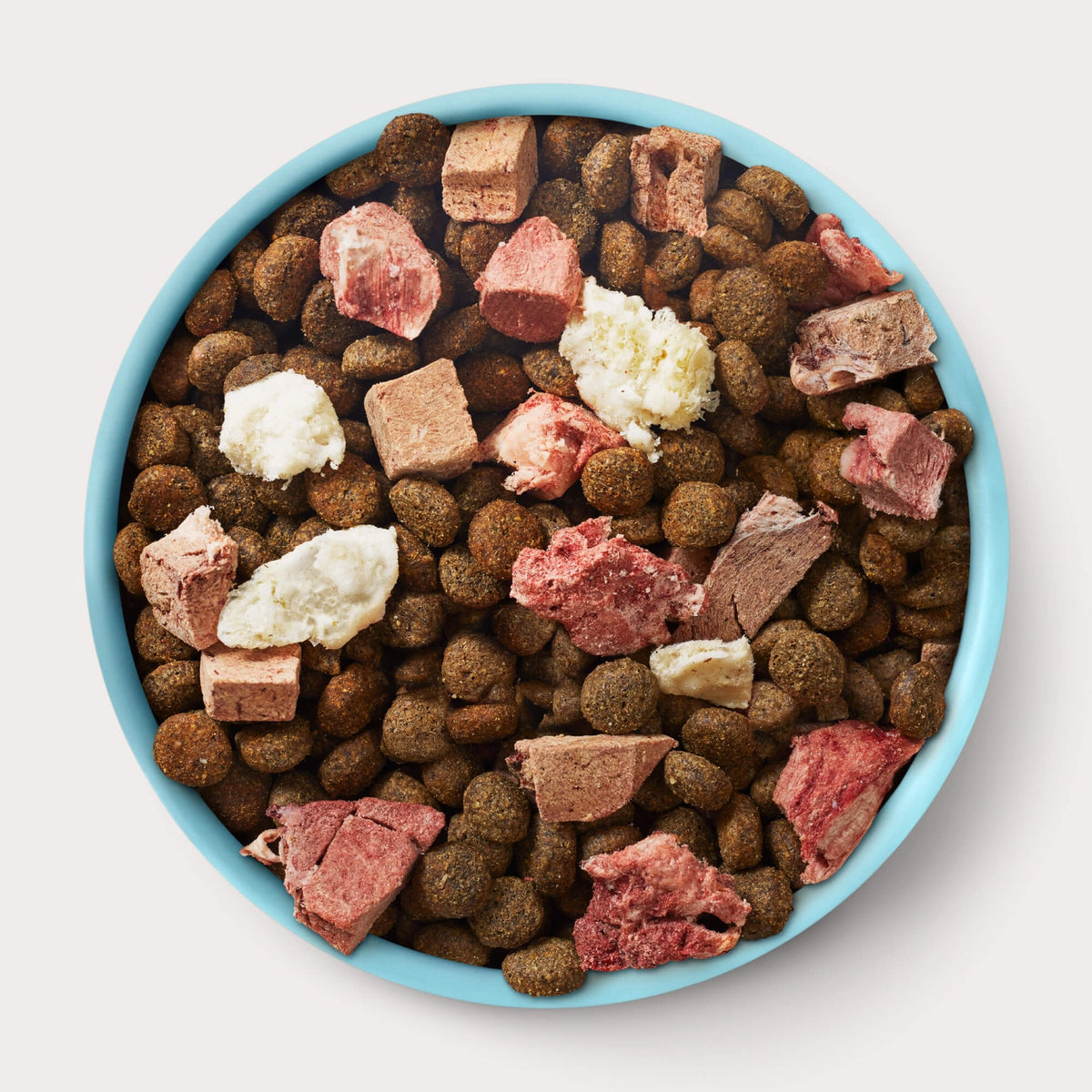 Blue bowl filled with round kibble and various freeze-dried beef organ pieces for raw dog food mix