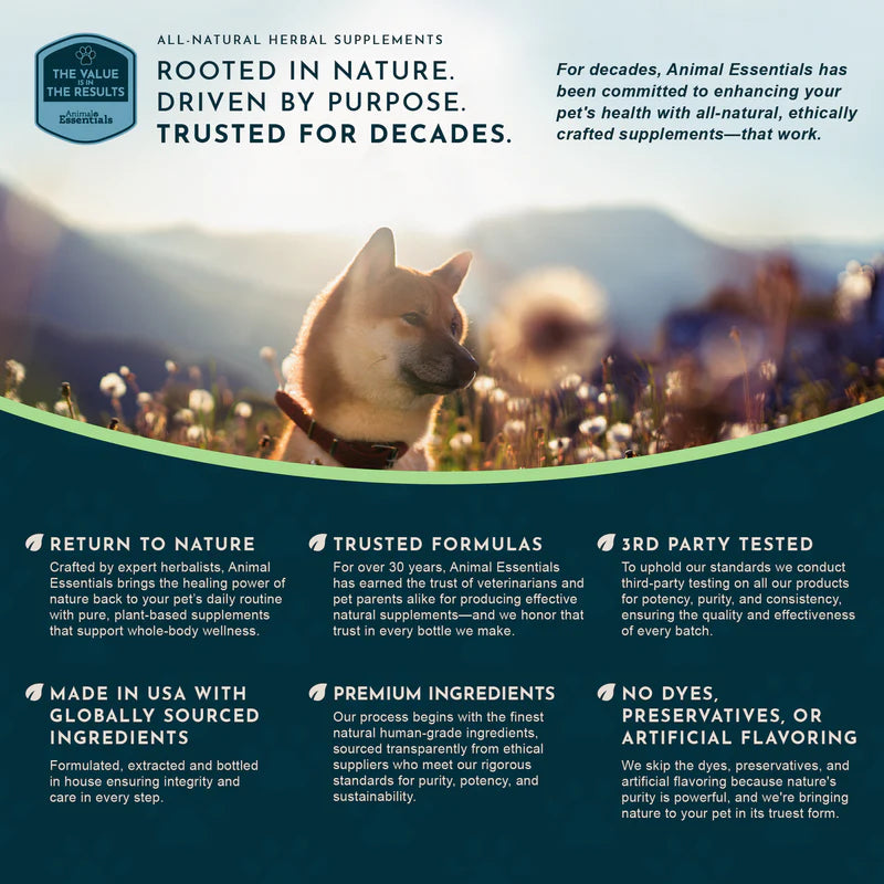 Infographic for Animal Essentials supplements featuring a dog in a field with brand quality pillars.