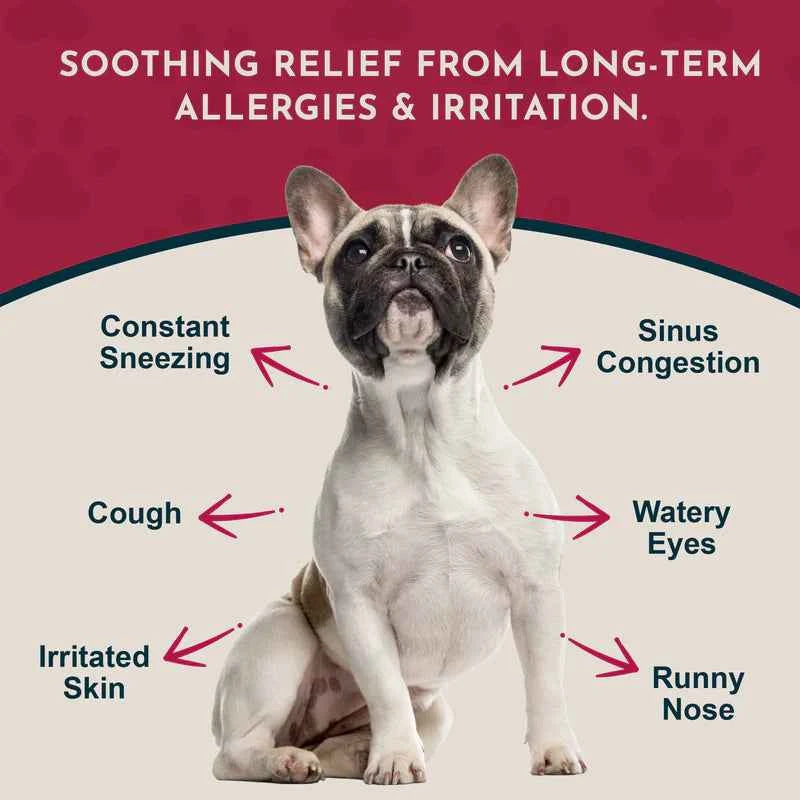 Animal Essentials Seasonal Allergy Herbal Soft Chews Herbal Allergy Support Formula 60 Count