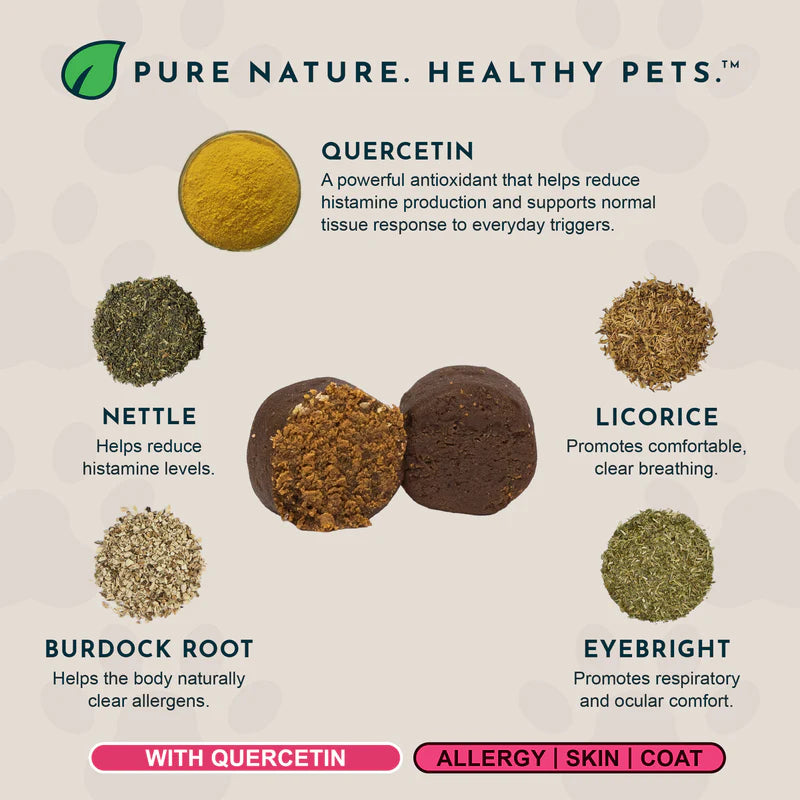 Infographic of dog allergy chews showing ingredients: Quercetin, Nettle, Licorice, Burdock, Eyebright.