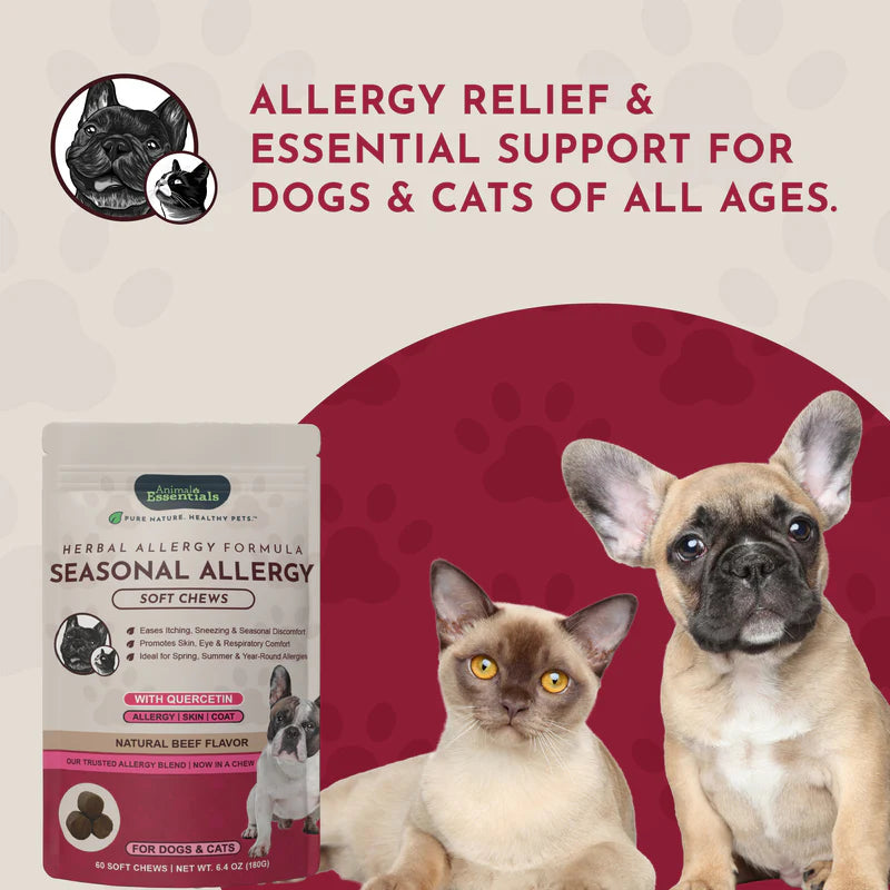 Animal Essentials Seasonal Allergy Herbal Soft Chews for dogs and cats, 60 count beef flavor bag.