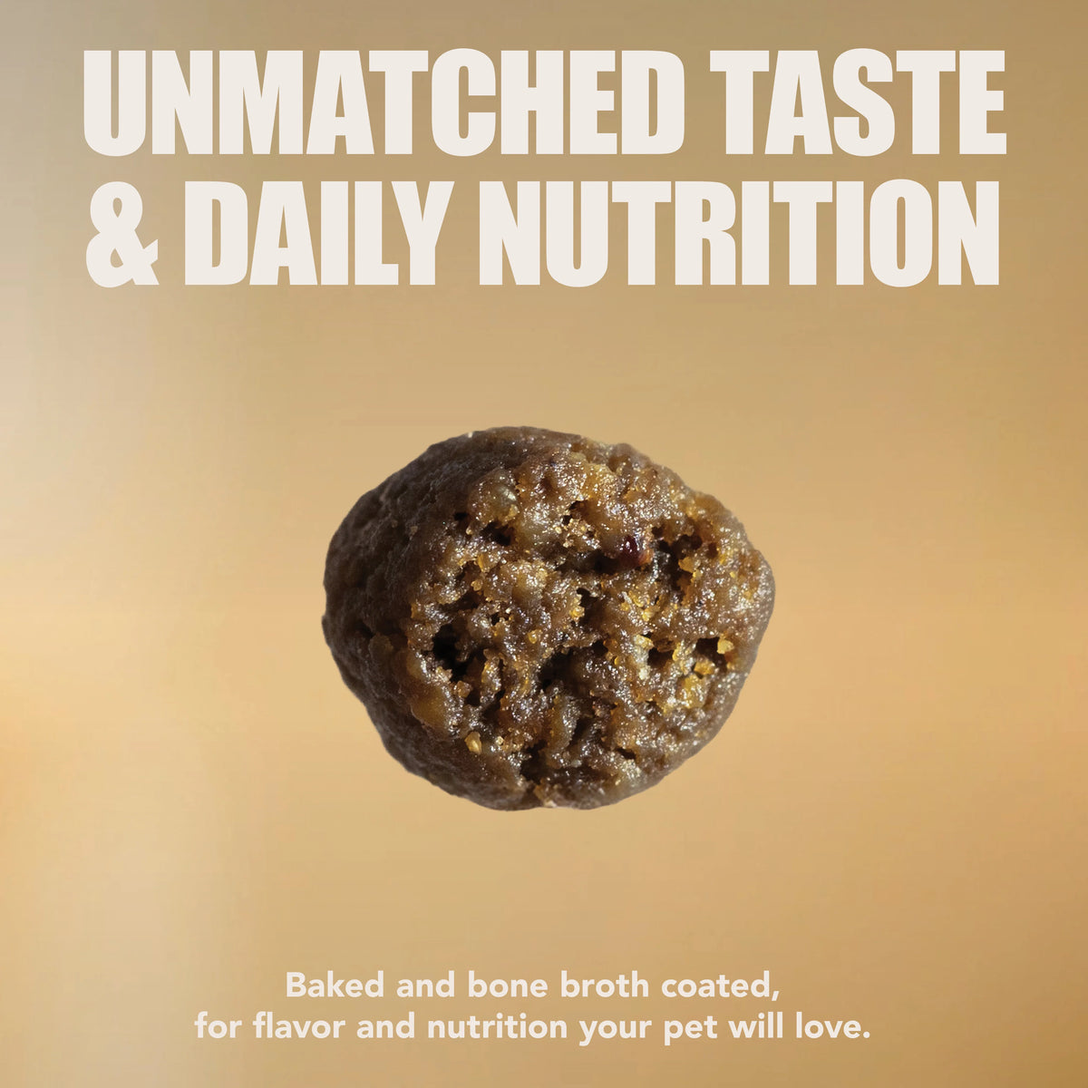 Close-up of a single round, textured piece of baked and bone broth coated ocean fish dog food.