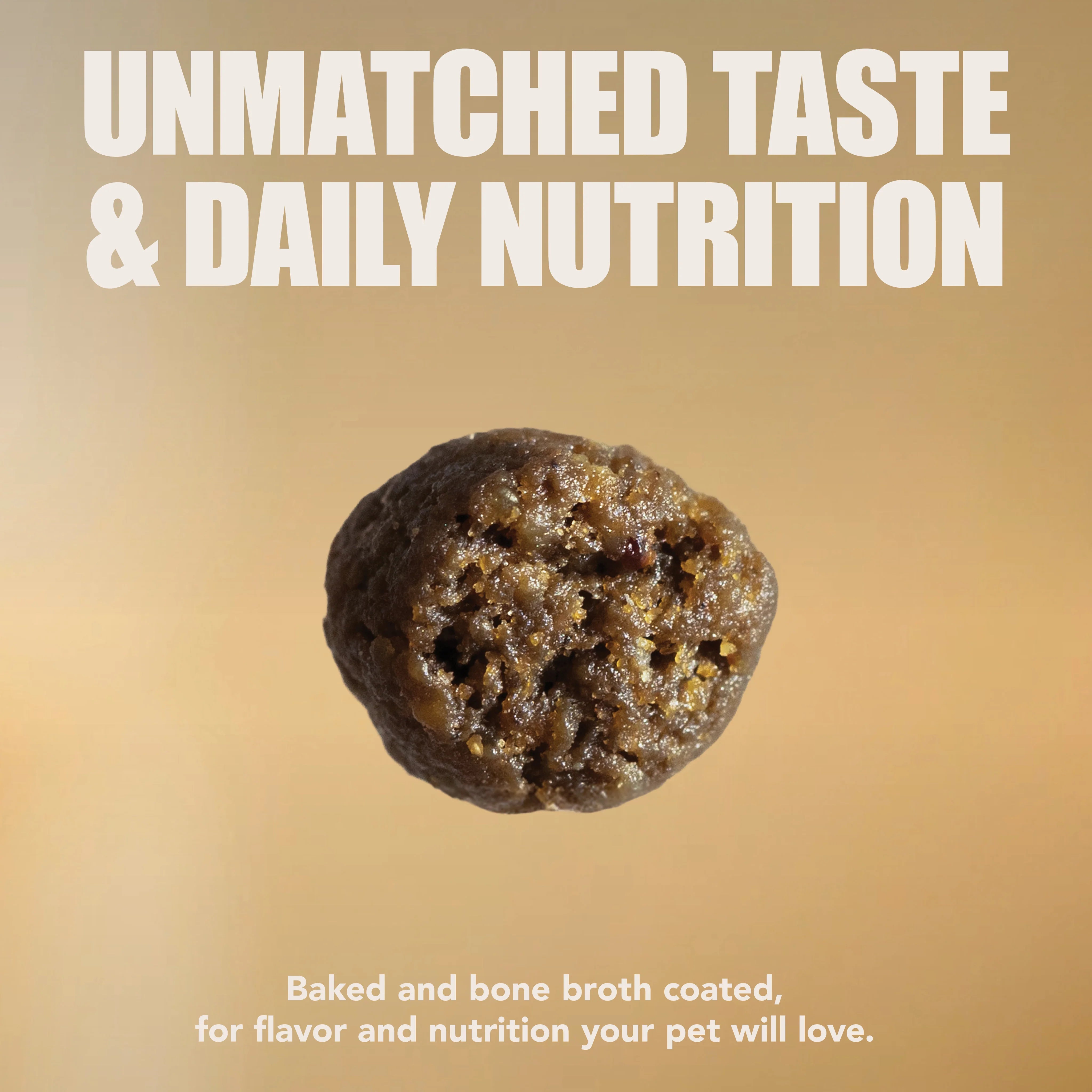 Close-up of a single round, textured piece of baked and bone broth coated poultry dog food kibble.
