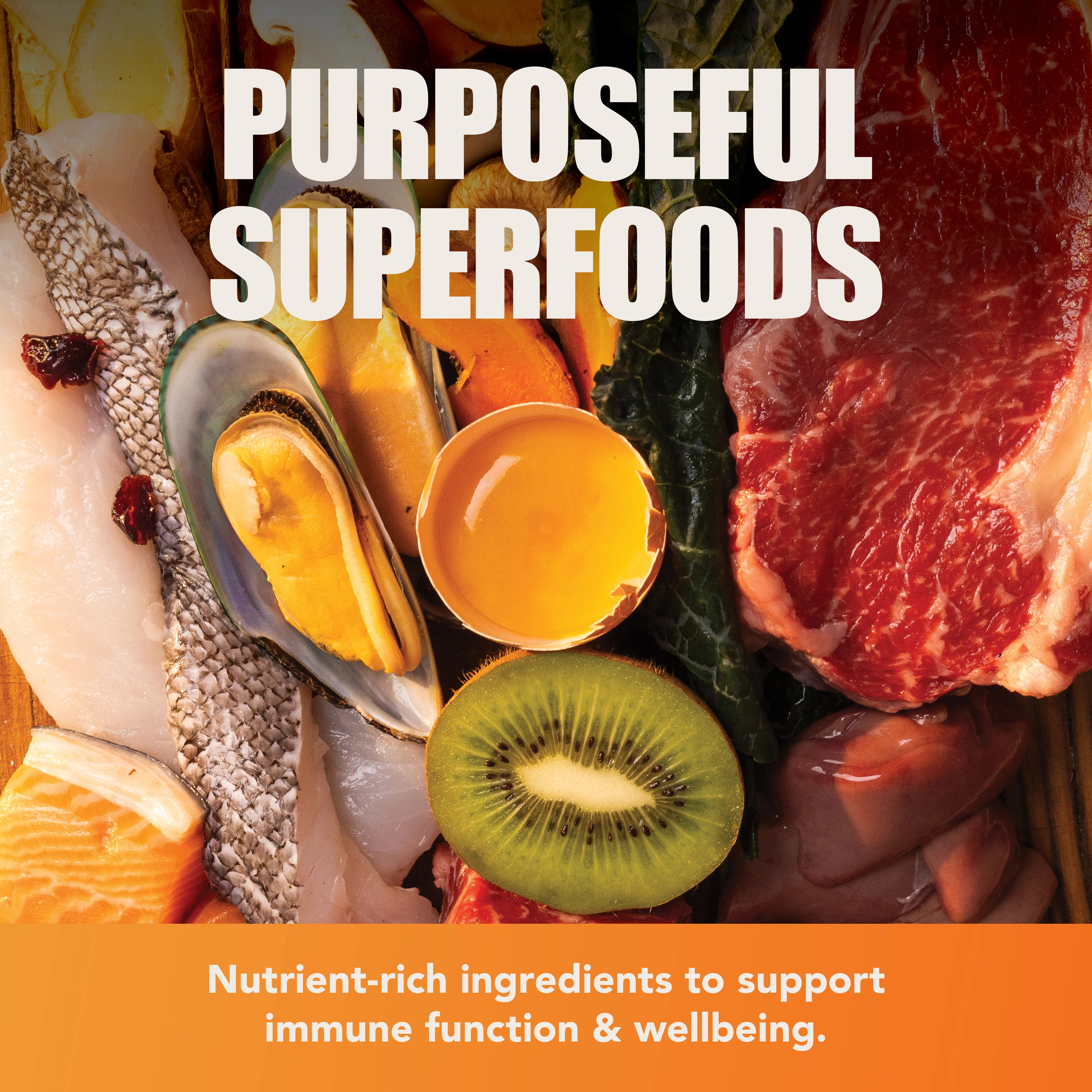 Assortment of fresh ingredients including meat, fish, mussels, egg, and kiwi with superfood text.