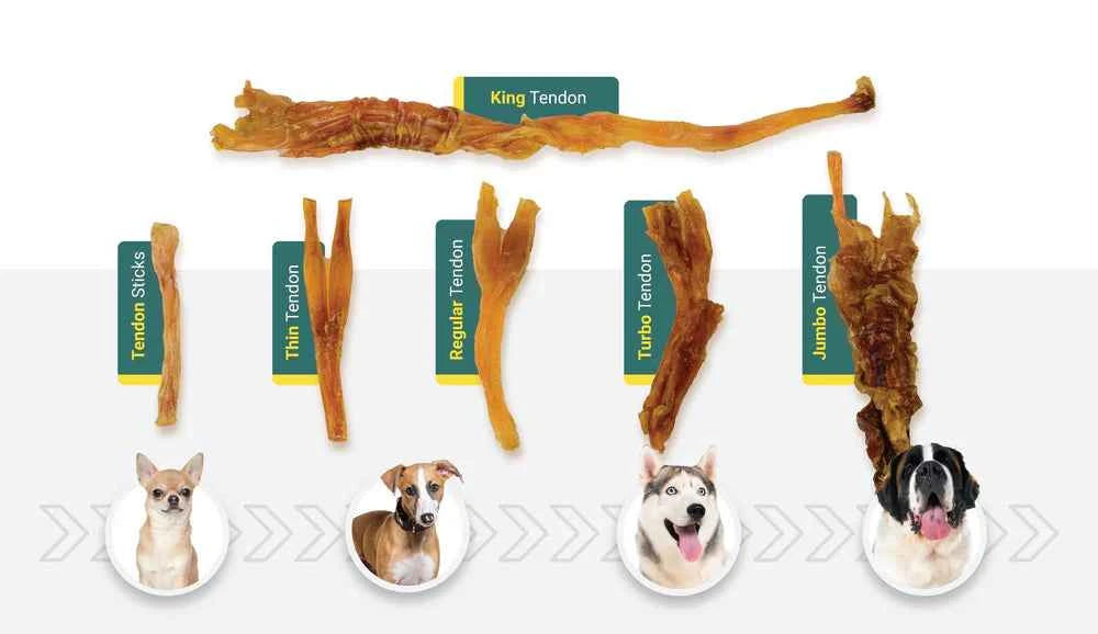 Talis Us Beef Y Tendon Dog Treats 6 Count
