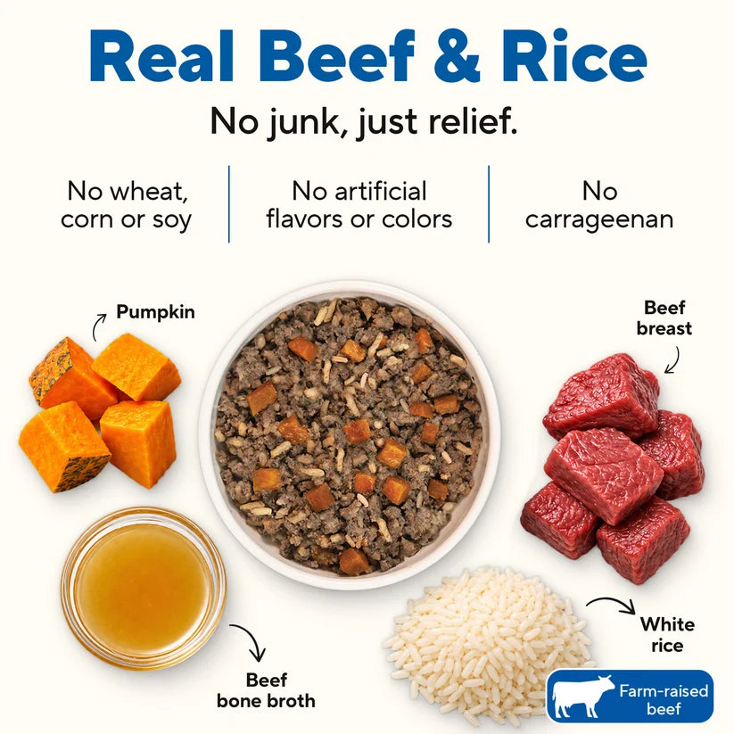 Dave's Bland Diet Beef & Rice Gently Cooked Dog Food 10 Pack - 9 oz Pouches