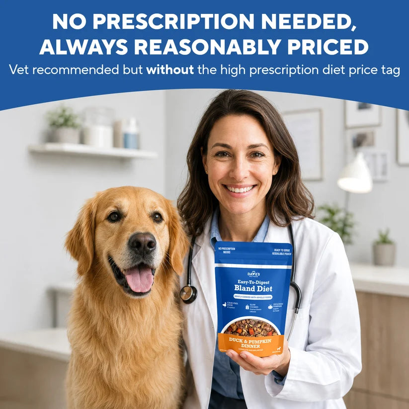 Dave's Bland Diet Duck & Pumpkin Gently Cooked Dog Food 10 Pack - 9 oz Pouches