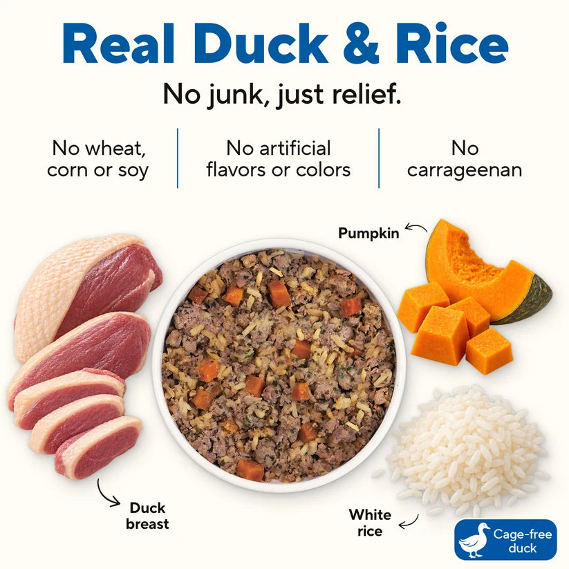 Dave's Bland Diet Duck & Pumpkin Gently Cooked Dog Food 10 Pack - 9 oz Pouches
