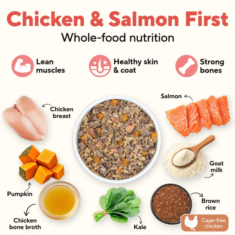 Dave's Homestyle Meal Chicken & Salmon with Brown Rice, Goat Milk Gently Cooked Dog Food 10 Pack - 9 oz Pouches