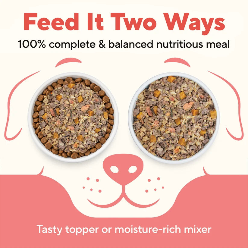 Dave's Homestyle Meal Chicken & Salmon with Brown Rice, Goat Milk Gently Cooked Dog Food 10 Pack - 9 oz Pouches