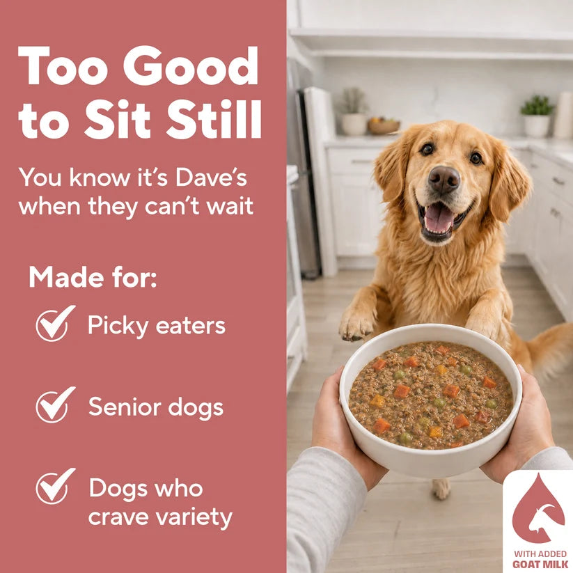 Dave's Homestyle Meal Grain-Free Goat Milk, Duck & Beef Dinner Gently Cooked Dog Food 10 Pack - 9 oz Pouches