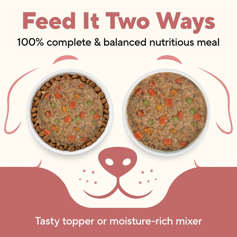 Dave's Homestyle Meal Grain-Free Goat Milk, Duck & Beef Dinner Gently Cooked Dog Food 10 Pack - 9 oz Pouches