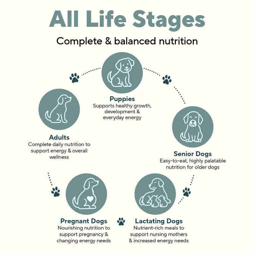 Dave's Homestyle Meal Grain-Free Goat Milk, Duck & Chicken Dinner Gently Cooked Dog Food 10 Pack - 9 oz Pouches