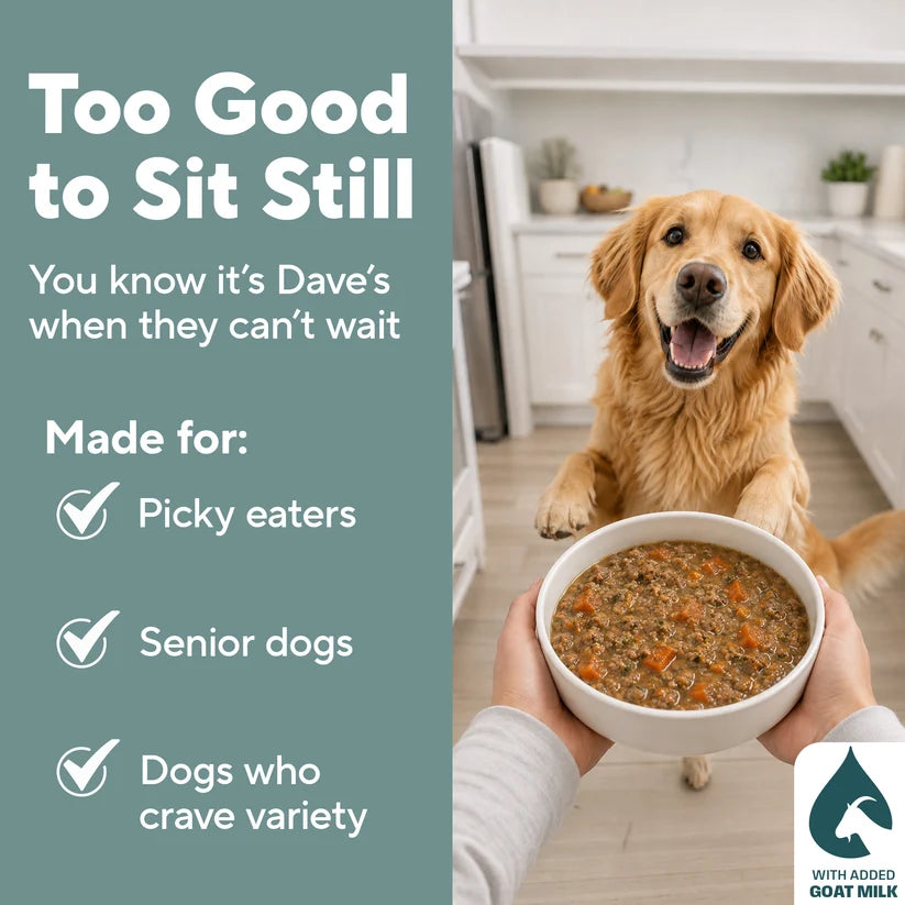 Dave's Homestyle Meal Grain-Free Goat Milk, Duck & Chicken Dinner Gently Cooked Dog Food 10 Pack - 9 oz Pouches