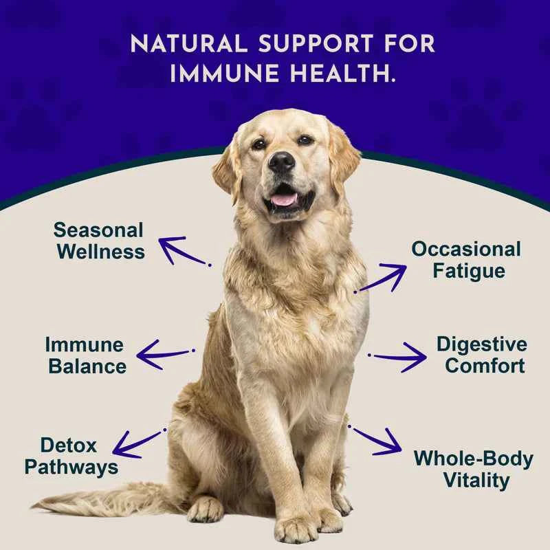 Animal Essentials Resist & Renew Immune Boost 1oz